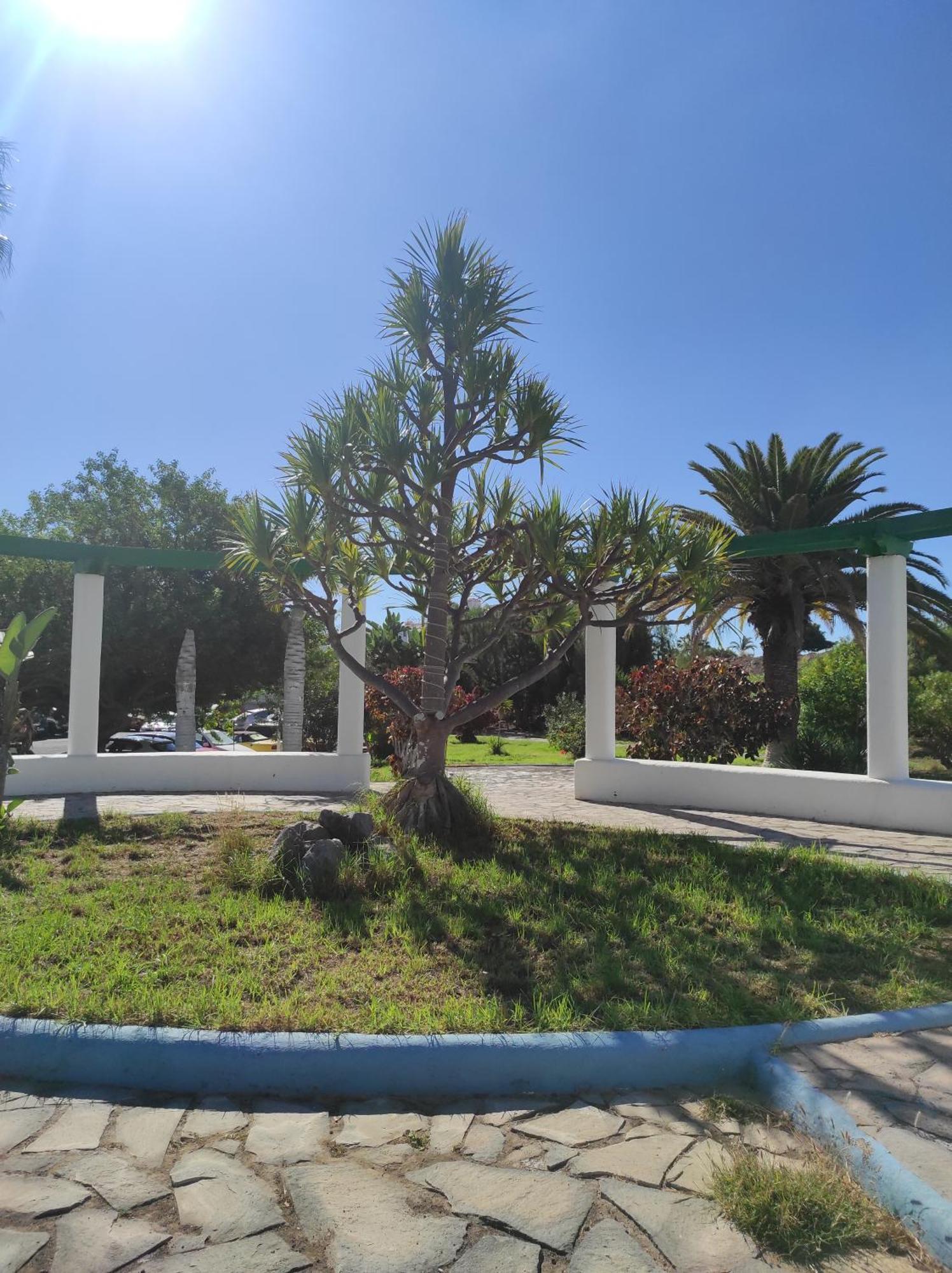סן מיגל דה אבונה Maria Luxury Apartament Golf Del Sur Tenerife מראה חיצוני תמונה